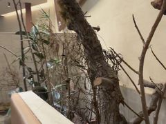 -山缓缓火锅(上海闵行龙湖店)