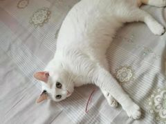 -宠颐生中康贝怡动物医院