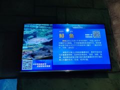 -梦幻海洋王国(吾悦广场张家港店)