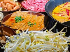 -阳阳老火锅(小南门店)