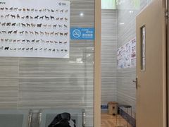 -瑞派名望志远动物医院·猫科·內科·异宠专科(直港大道店)