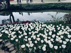 -无锡梅园公园
