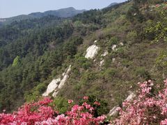 -木兰云雾山