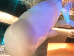 -虾胡闹龙虾馆(湄南河店)
