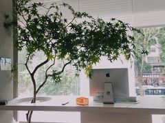 -隅乐胡椒虾·台湾菜·团建(皇岗店)