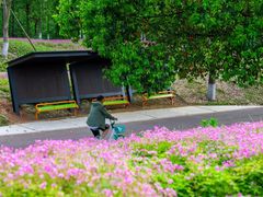 -白鹭湾湿地公园