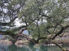 -上坦村