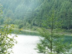 -武陵山森林公园