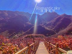 -北京西山国家森林公园