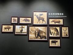 -大庆市博物馆
