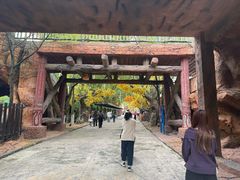 -横店影视城梦幻谷园区