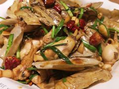 -直隶安家牛肉罩饼(建华店)