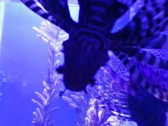 -波塞冬旅游度假区