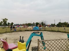 -菊园百果园