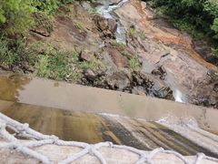 -广州白江湖森林公园