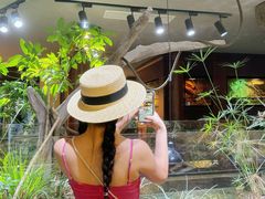 -帕帕拉兹宠物(亚洲旗舰店)