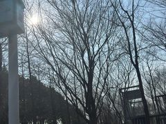 -柳鹭田园区