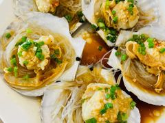 扇贝-华盛丰温州大排档(东三环南路店)