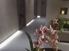 -施奈儿.洗头頭療.按摩SPA.采耳(上梅林店)