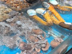 -紫阳海鲜楼·传承闽味(长乐路总店)