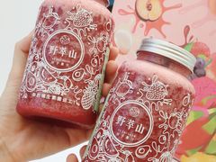 -野萃山·潮汕厚果汁(十亩地店)