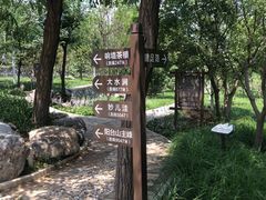 -阳台山自然风景区