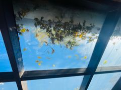 -VOYAGE COFFEE(北锣鼓巷店)