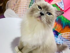-极木²邸 人与宠物·互动社区