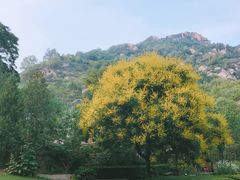 -云峰山自然风景区