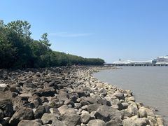 -上海吴淞炮台湾国家湿地公园