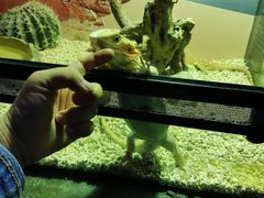 -正佳极地海洋世界