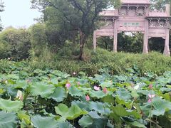 -西溪国家湿地公园