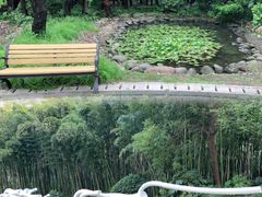 -苏州河梦清园环保主题公园