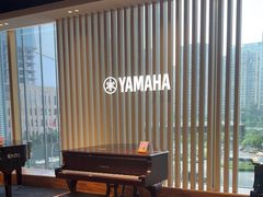 -知音艺术教育培训·钢琴培训·音乐培训(河西金鹰世界校区)