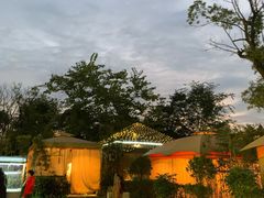 -二荆条·蜀鲜汇城市森林火锅