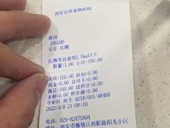 -西安京西宠物医院·瘫痪·疑难杂症