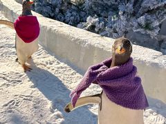 -波塞冬旅游度假区