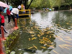 -玉水寨丽江源餐厅