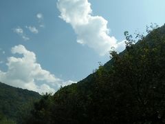 -少华山国家森林公园