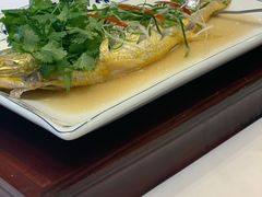 清蒸深海黄鱼-宁波状元楼酒店(和义路店)