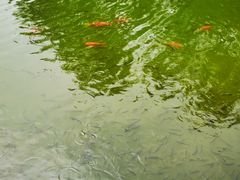 -半天妖烤鱼(新中关购物中心店)