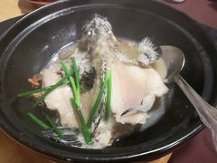 -ZF Seafood Restaurant 卓峰海鲜餐