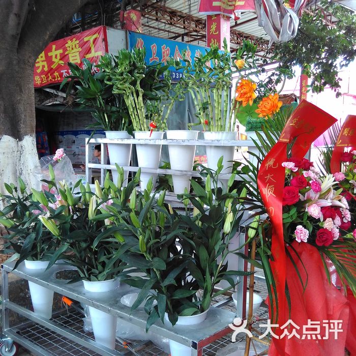 塘下涌百花园花店