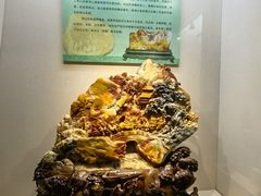 -安徽省地质博物馆