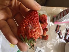 -水果地带(中航国际店)