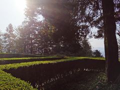 -井冈山风景名胜区
