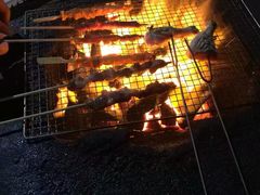 -西涌国际滨海旅游区