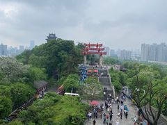 -黄鹤楼公园(黄鹤楼)