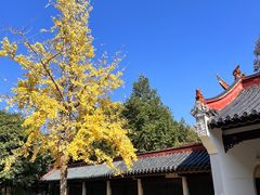 -南岳衡山风景名胜区