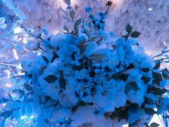 -同庆楼(花园店)